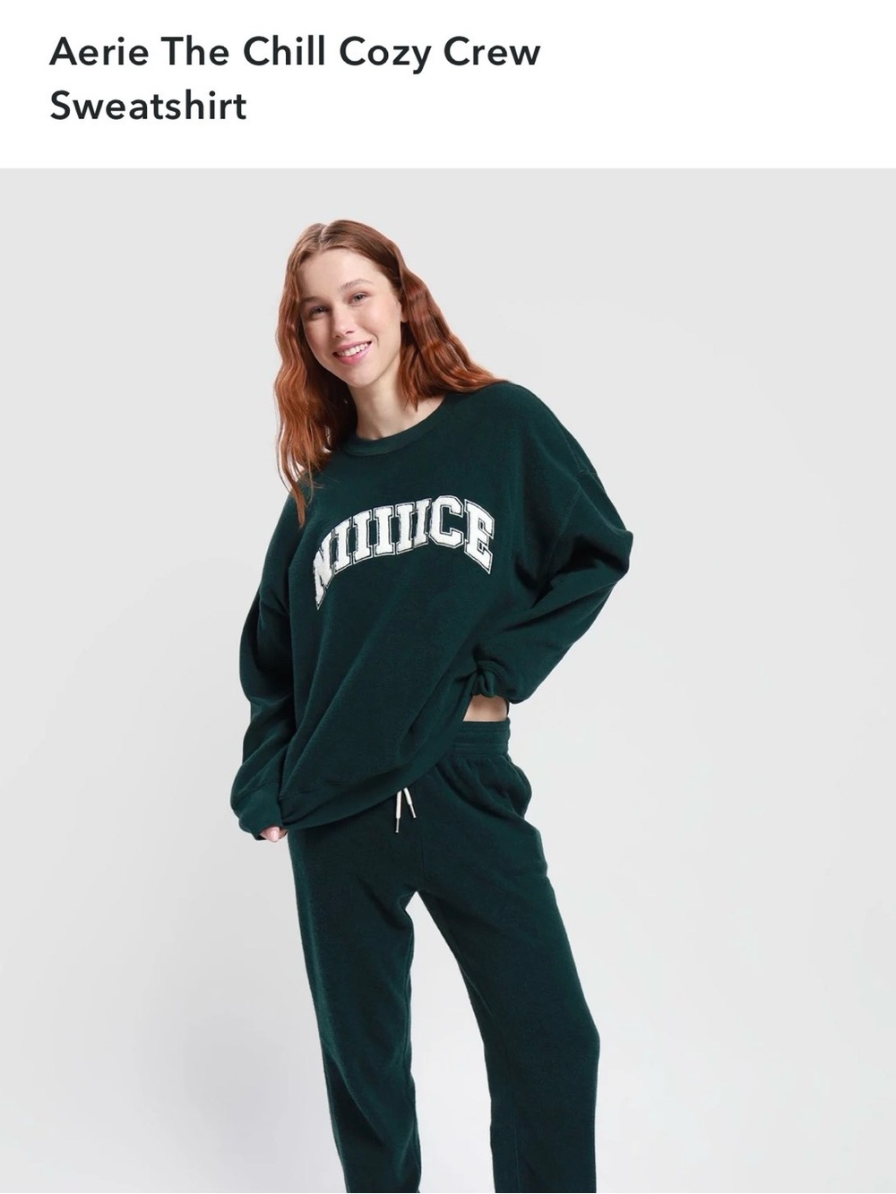 Aerie The Chill Cozy Crew neck Sweatshirt in Forest Green Oversized - Med